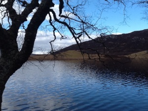 Loch Tarff