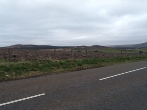 Not beautiful landscape, especially on a rather gloomy day