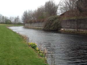 And it's mate, patiently waiting on the nest, the Forth and Clyde Canal